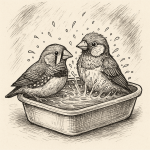 Ванна для птахів: як вибрати найкращу для вашого пернатого улюбленця